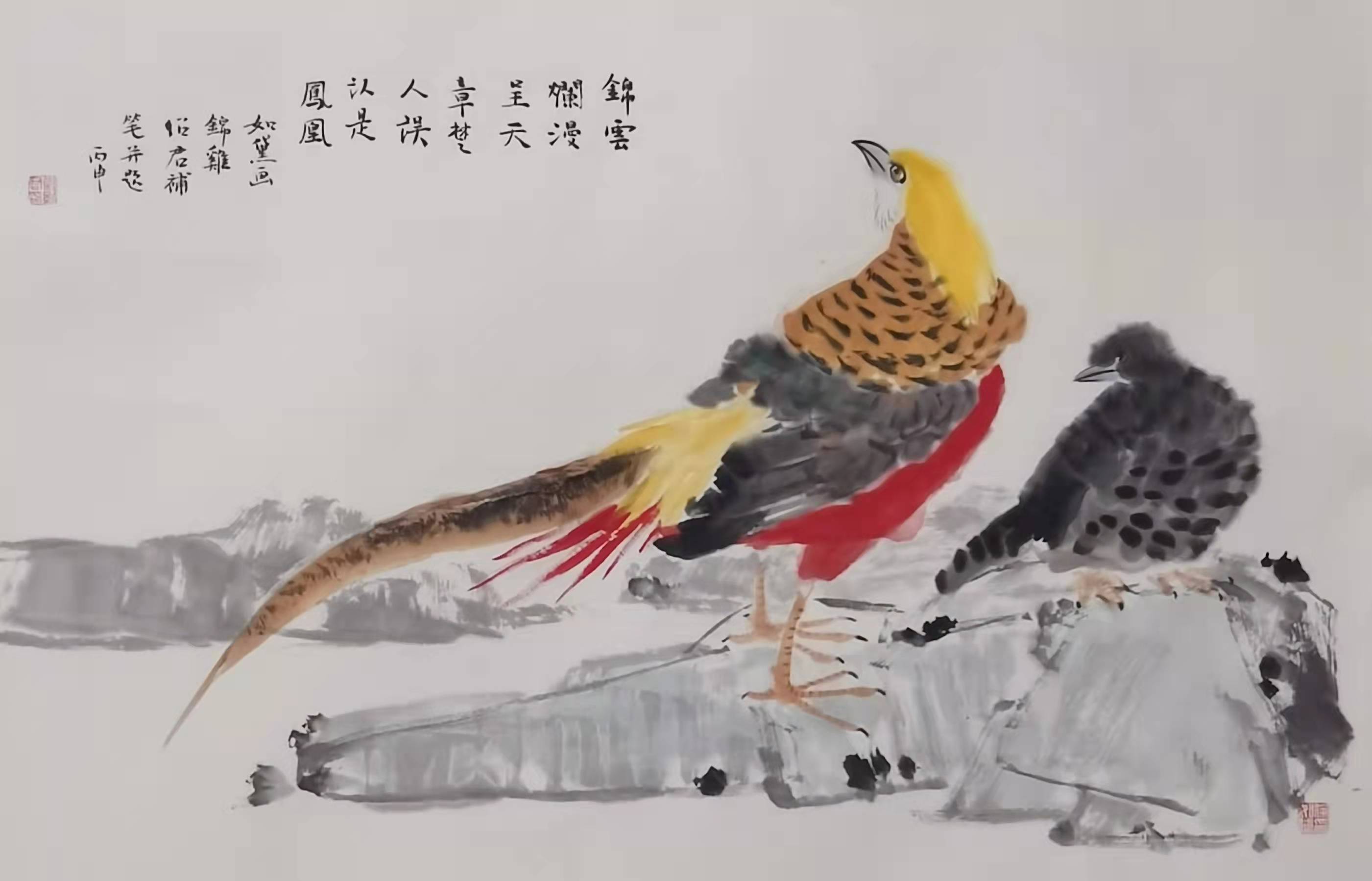锦鸡    徐如黛