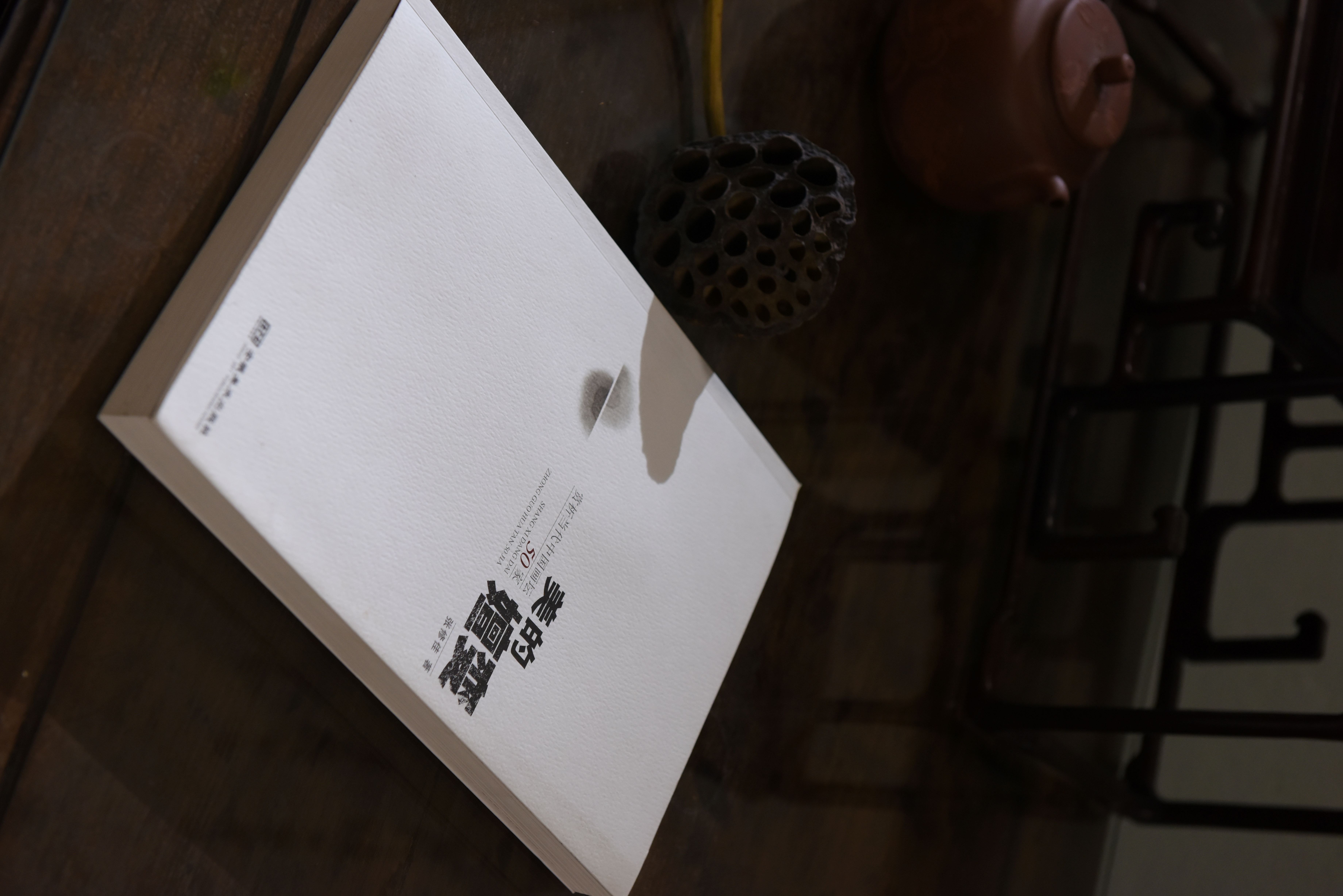 美的嬗变：赏析当代中国画坛50家    张修佳  著