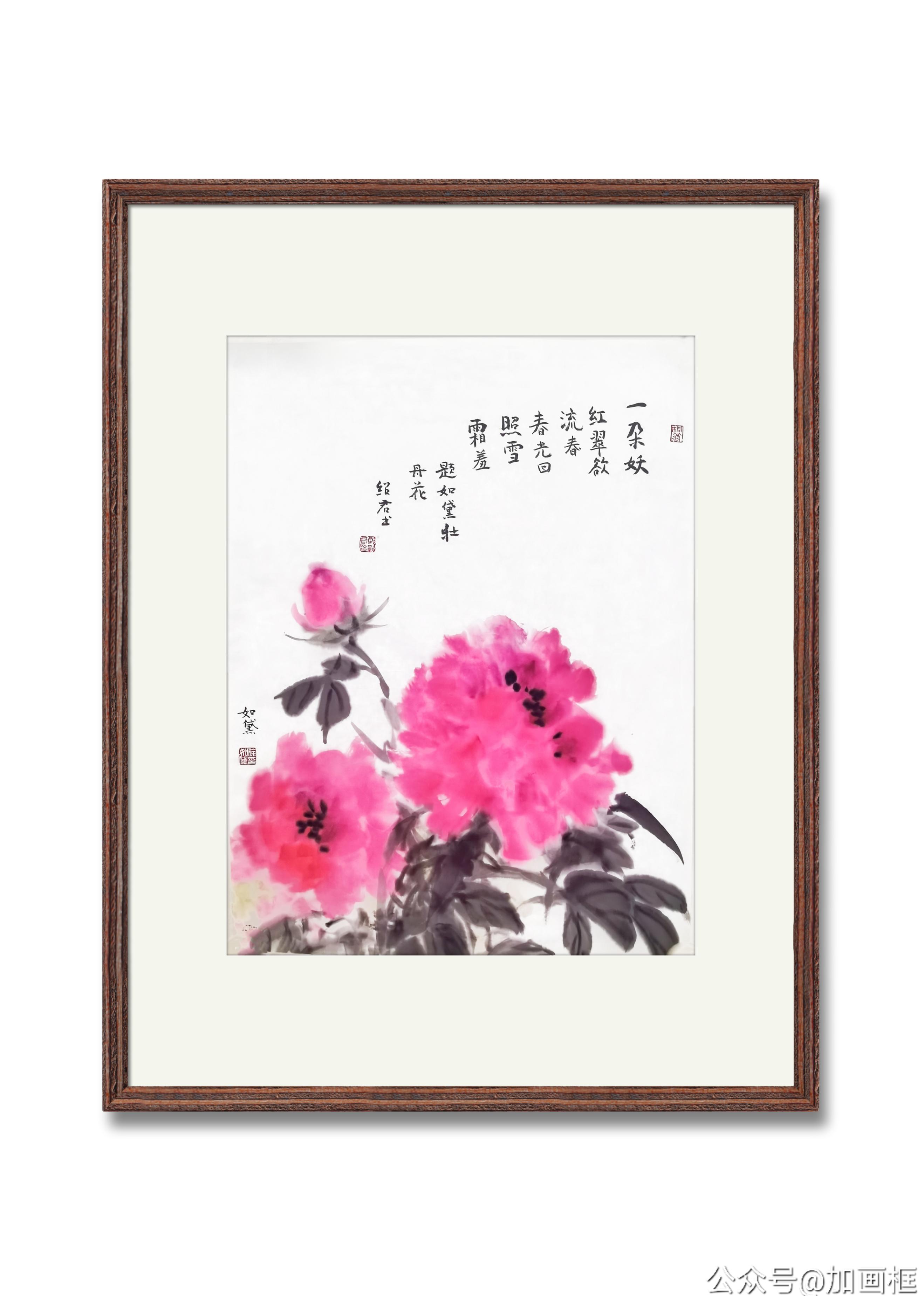 牡丹    徐如黛