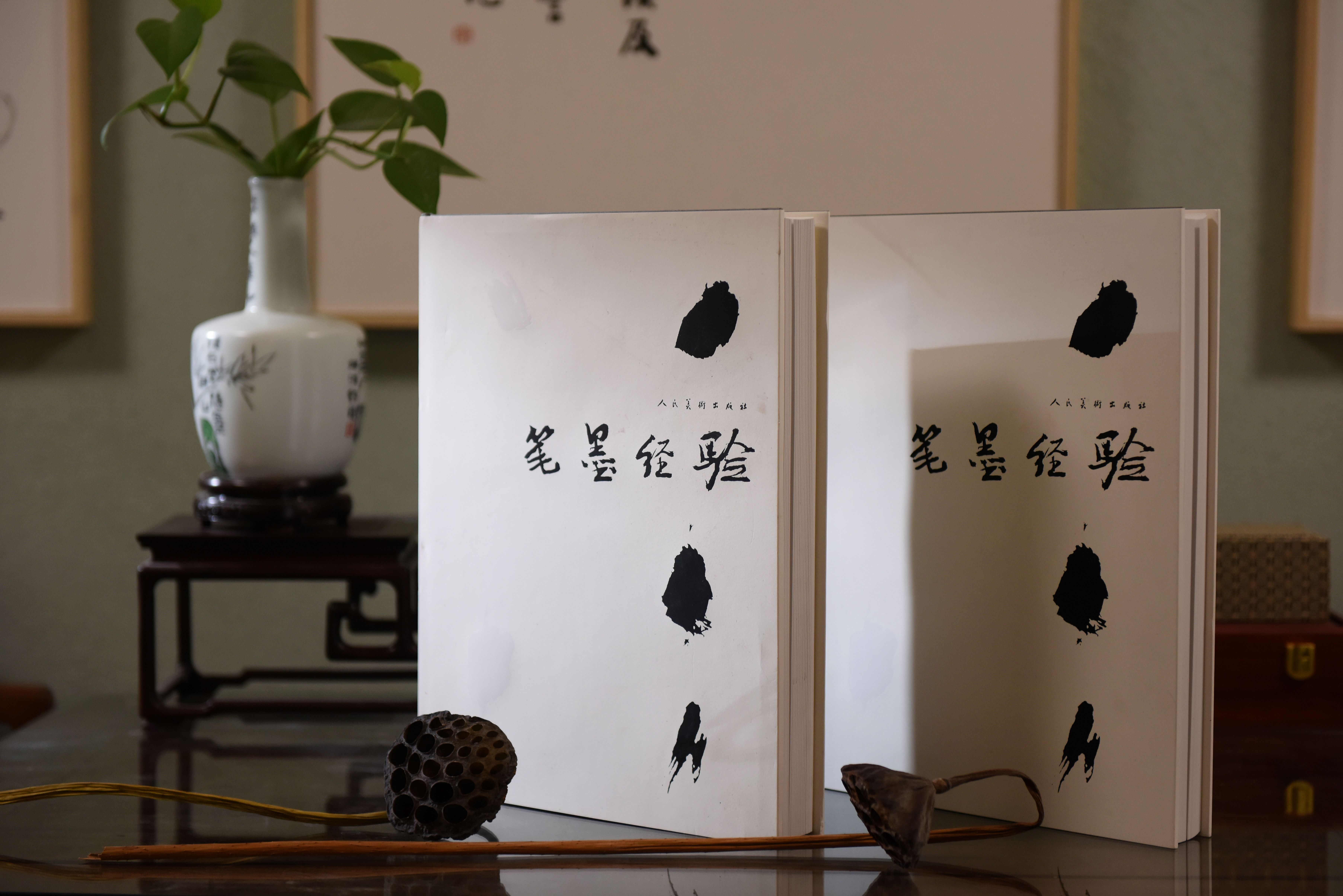 笔墨经验     张修佳  主编